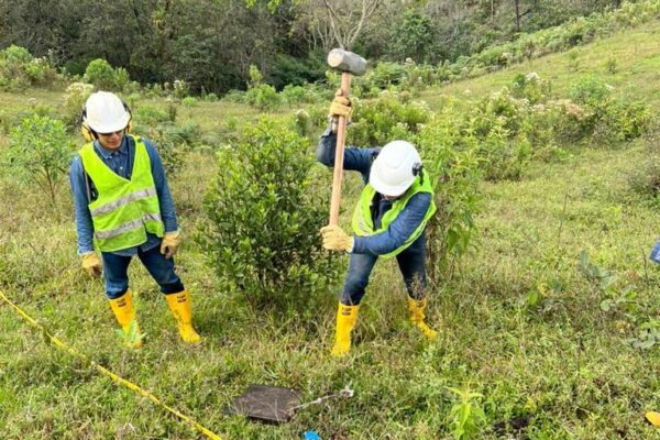 WhatsApp Image 2023-04-26 at 2.58.20 PM (4) WhatsApp Image 2023-04-26 at 2.58.20 PM (4)