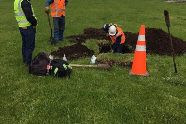 WhatsApp Image 2023-04-26 at 2.58.46 PM (1) WhatsApp Image 2023-04-26 at 2.58.46 PM (1)