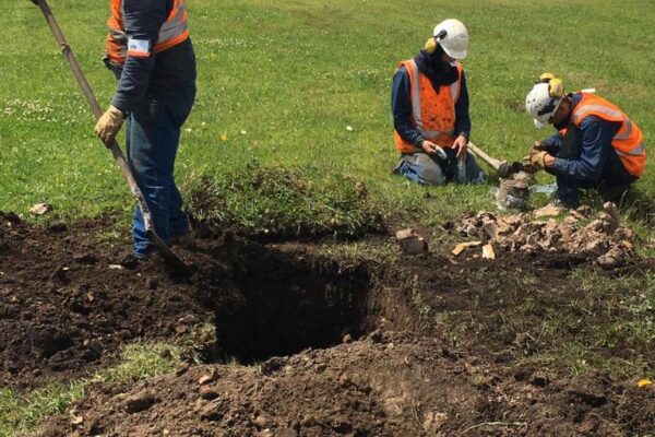 WhatsApp Image 2023-04-26 at 2.58.46 PM (3) WhatsApp Image 2023-04-26 at 2.58.46 PM (3)