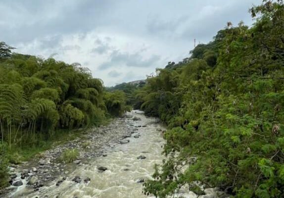 WhatsApp Image 2023-04-26 at 3.01.54 PM WhatsApp Image 2023-04-26 at 3.01.54 PM